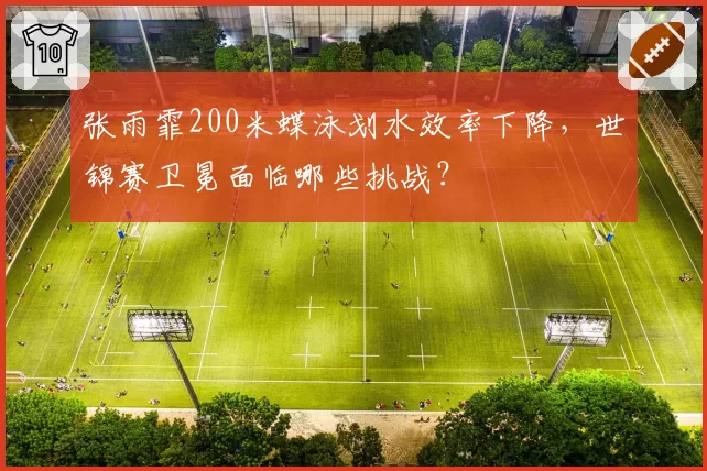 张雨霏200米蝶泳划水效率下降，世锦赛卫冕面临哪些挑战？