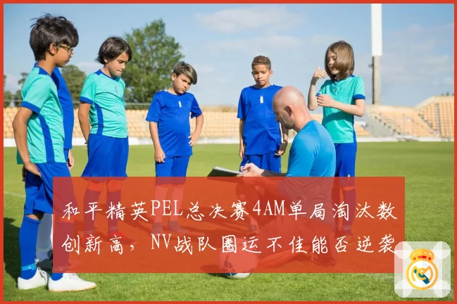 和平精英PEL总决赛4AM单局淘汰数创新高,NV战队圈运不佳能否逆袭