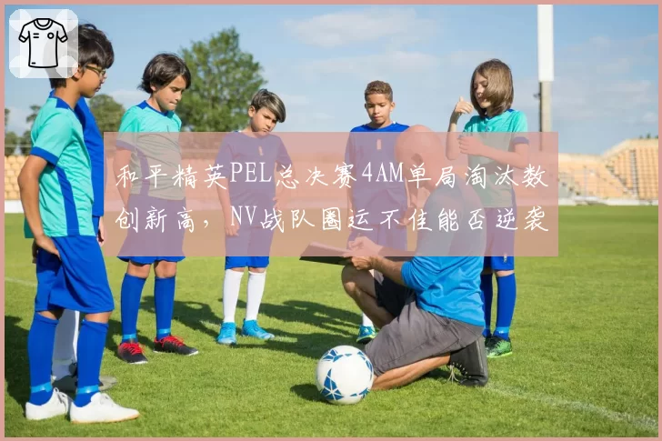 和平精英PEL总决赛4AM单局淘汰数创新高，NV战队圈运不佳能否逆袭